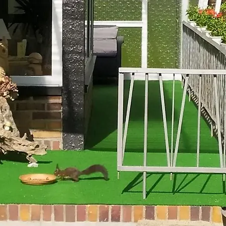 Giesela **** Dom wakacyjny *