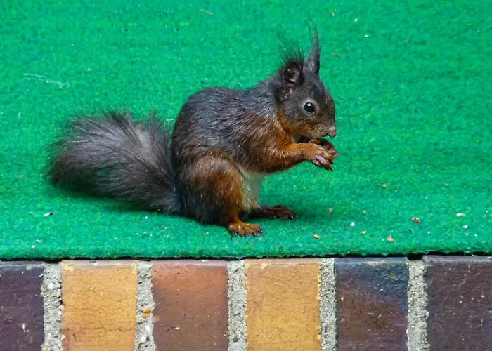 بيت للعطل Giesela ****